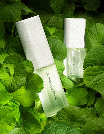 ICD Incellderm Dermatology First Package