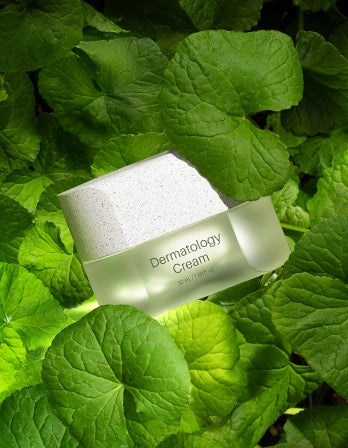 ICD Incellderm Dermatology Cream