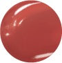 ICD Incellderm Makeup Butter Lip Tint Semi Matte