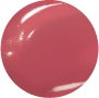 ICD Incellderm Makeup Butter Lip Tint Semi Matte