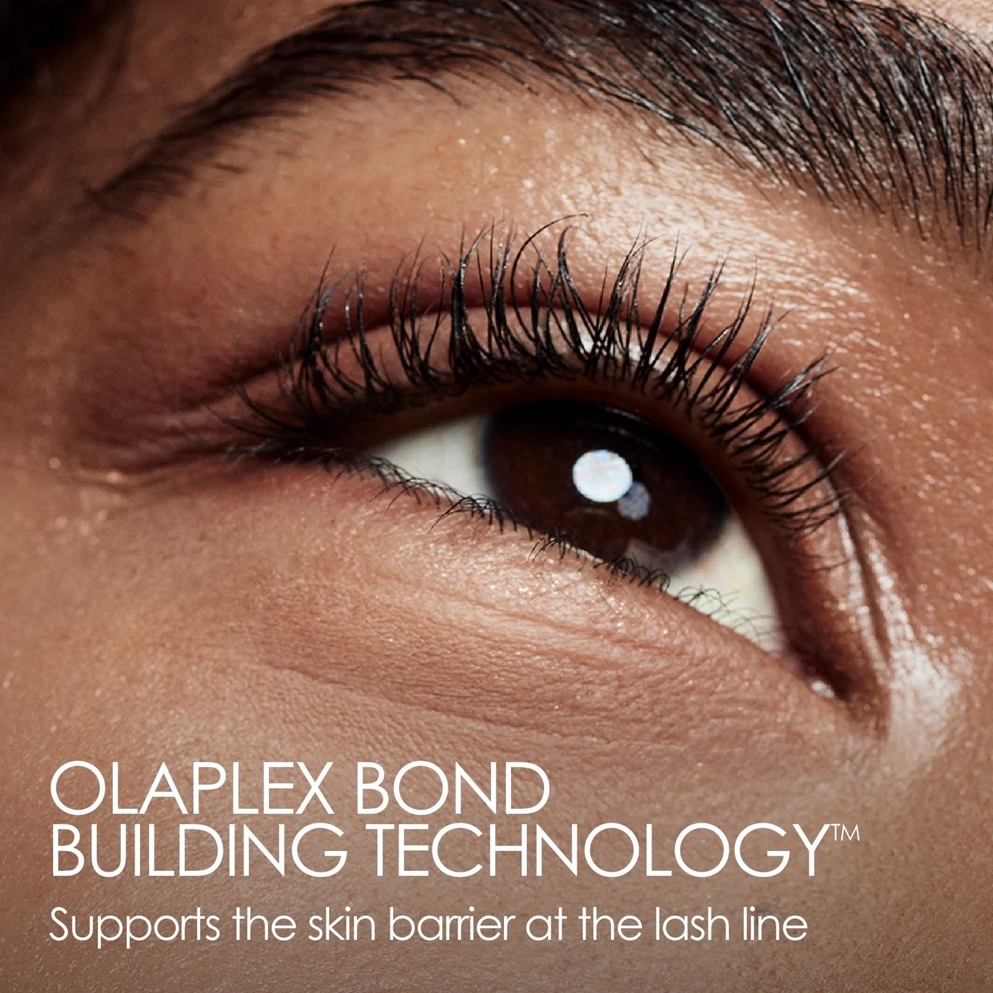 OLAPLEX LASHBOND™ BUILDING SERUM